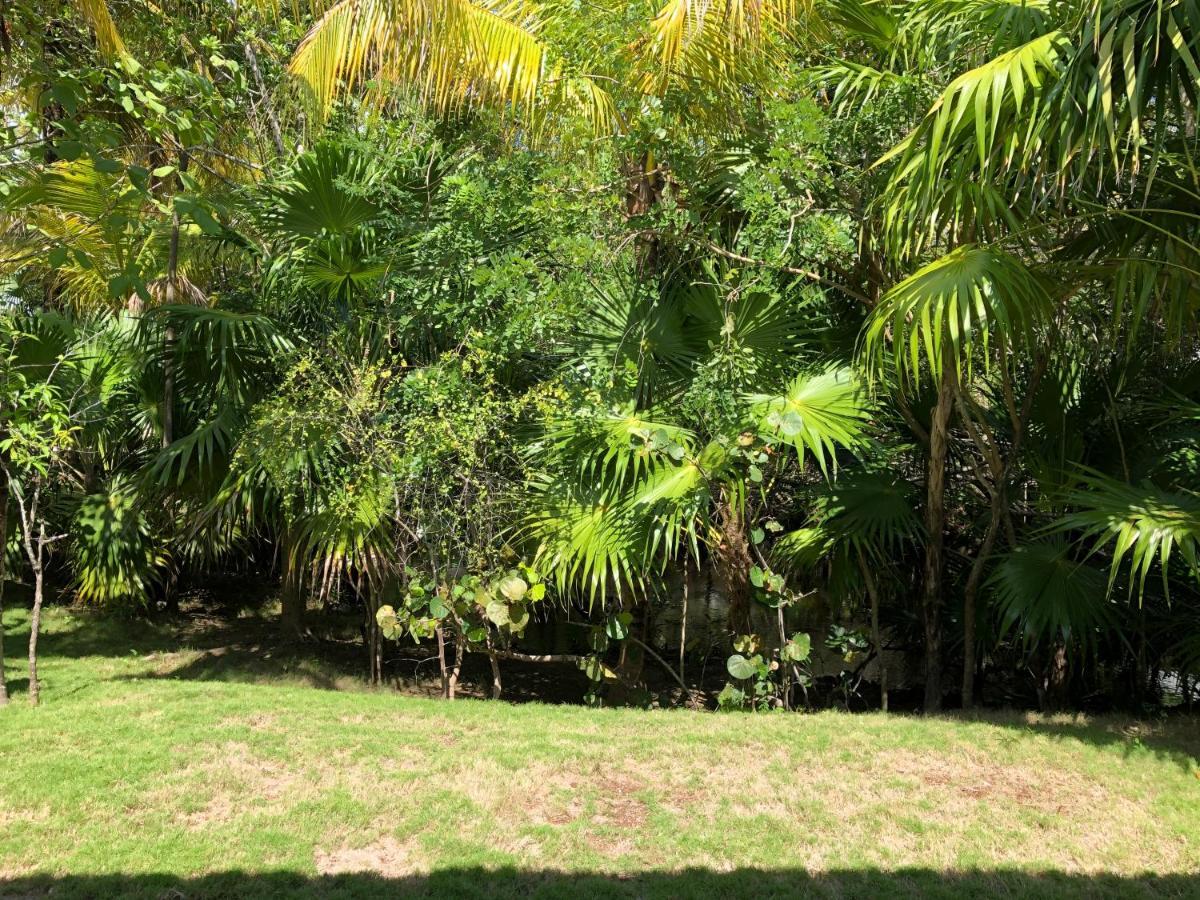 Blue Diamond Luxury Boutique (Adults Only) Hotel El Marlyn Azul Eksteriør billede
